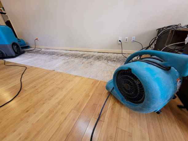 Professional Ceiling Water Damage Repair technician working in Westlake, LA