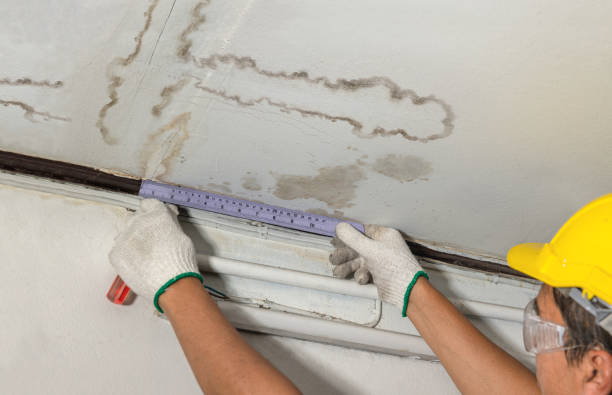 Affordable Ceiling Water Damage Repair solutions in Westlake, LA